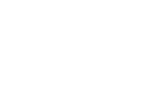 SmartGigant